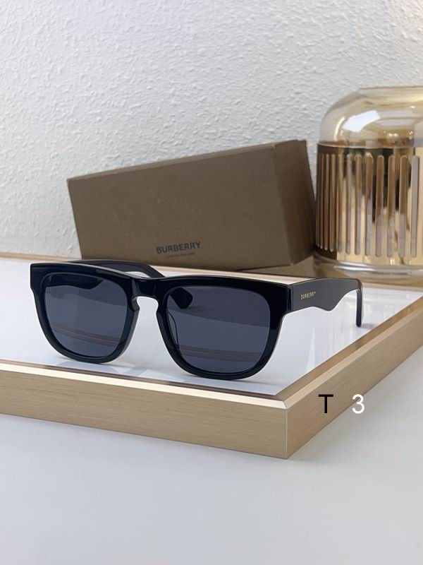 Burberry Sunglasses ID:20250529-87